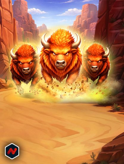 Image for Bison Canyon Run